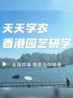 与香港园艺学会联合举办香港园艺研学，专业园境师带队讲解。