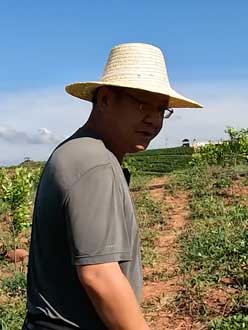 农业人叶涛，50多岁通讯人跨界搞农业，他要用1000万打造一个梦。